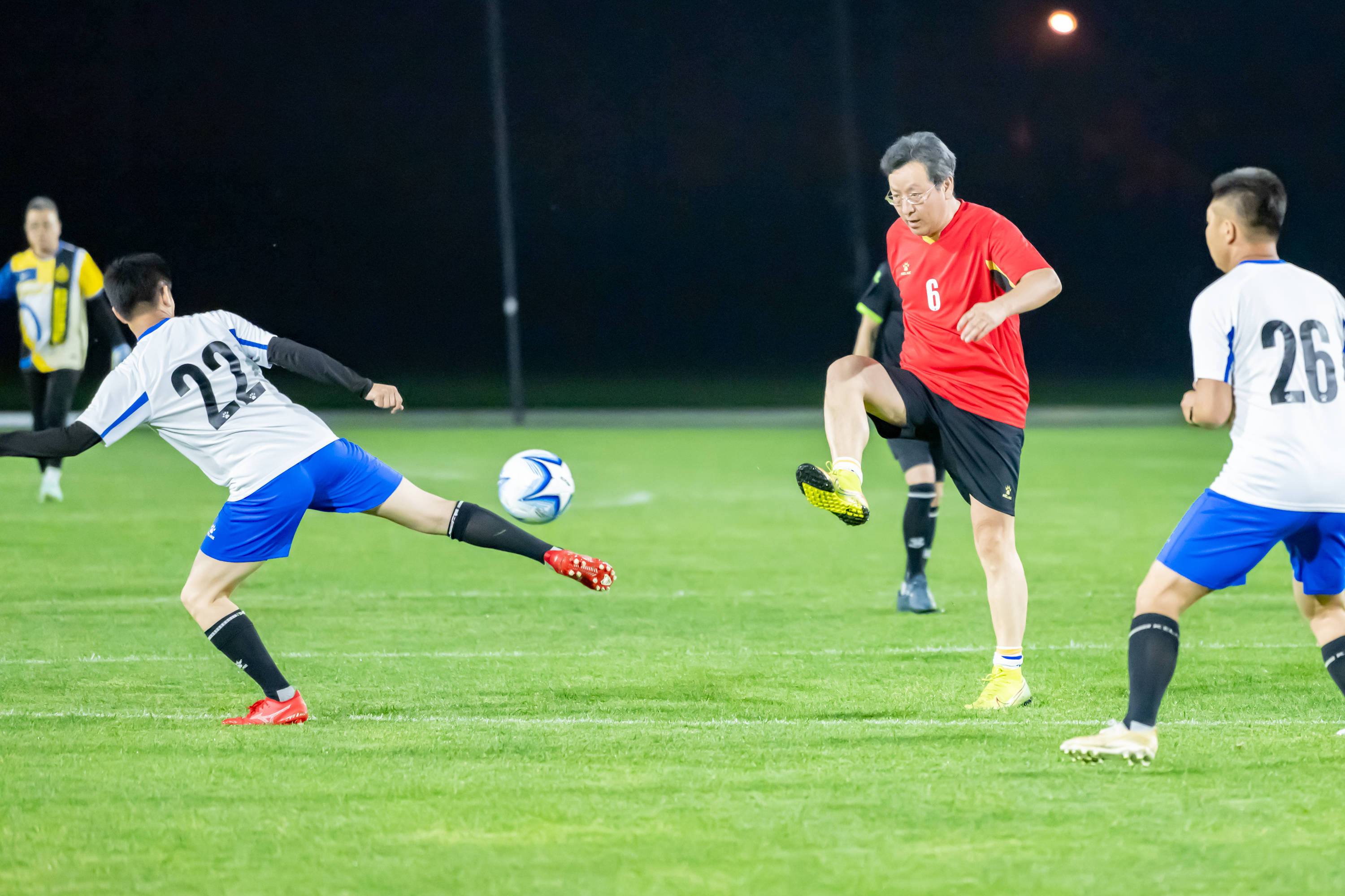 努诺在森林 努诺在森林